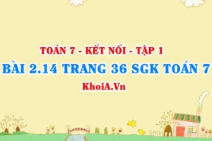 Bài 2.14 trang 36 SGK Toán 7 tập 1 Kết nối tri thức